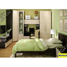 Гостиная "Британика комби"