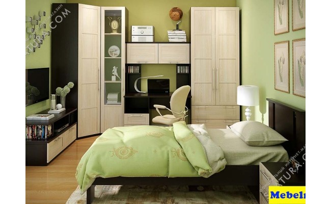 Гостиная "Британика комби"