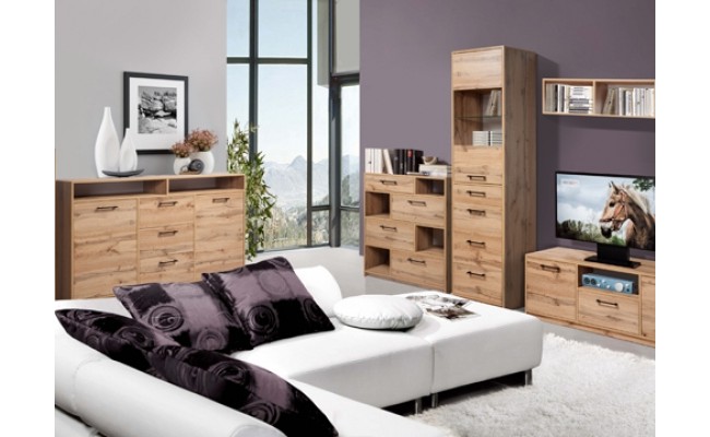 Гостиная Техас