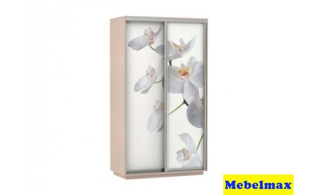 Шкаф-купе Фото 1400Х2200Х600 (дуб молочный)