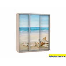 Шкаф-купе Фото 2100х2200х600