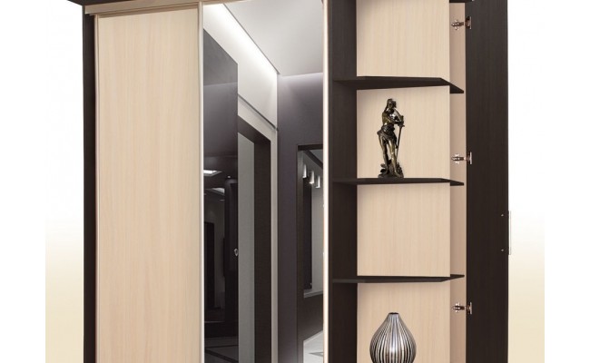 Шкаф-купе №9